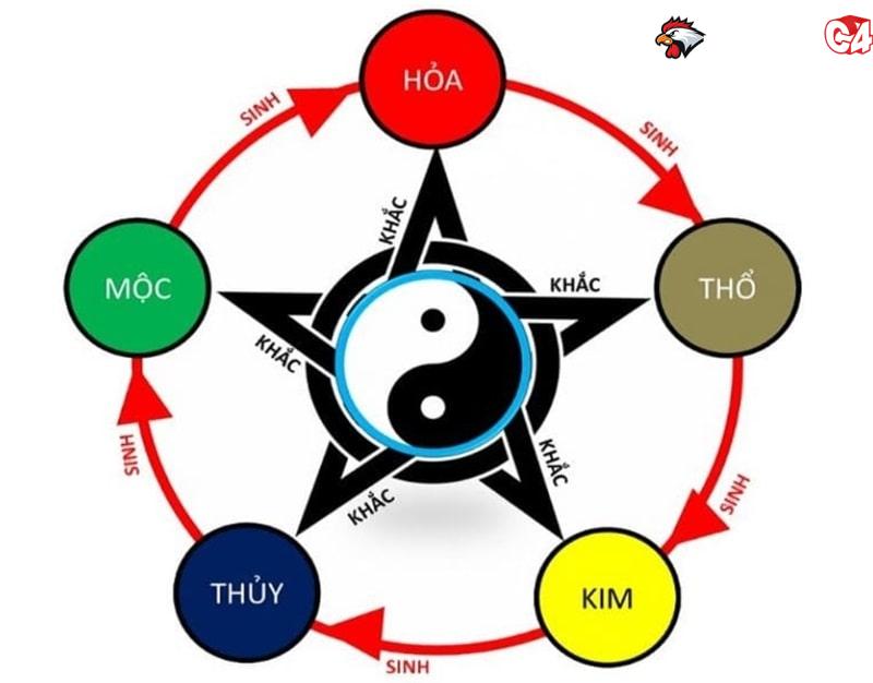 Có cần phải xem màu mạng đá gà không?