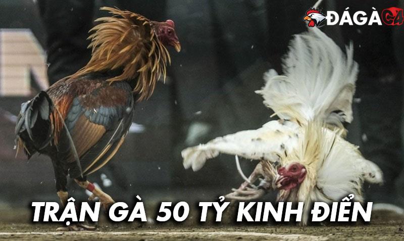 Trận gà 50 tỷ thái lan kinh điển thế giới