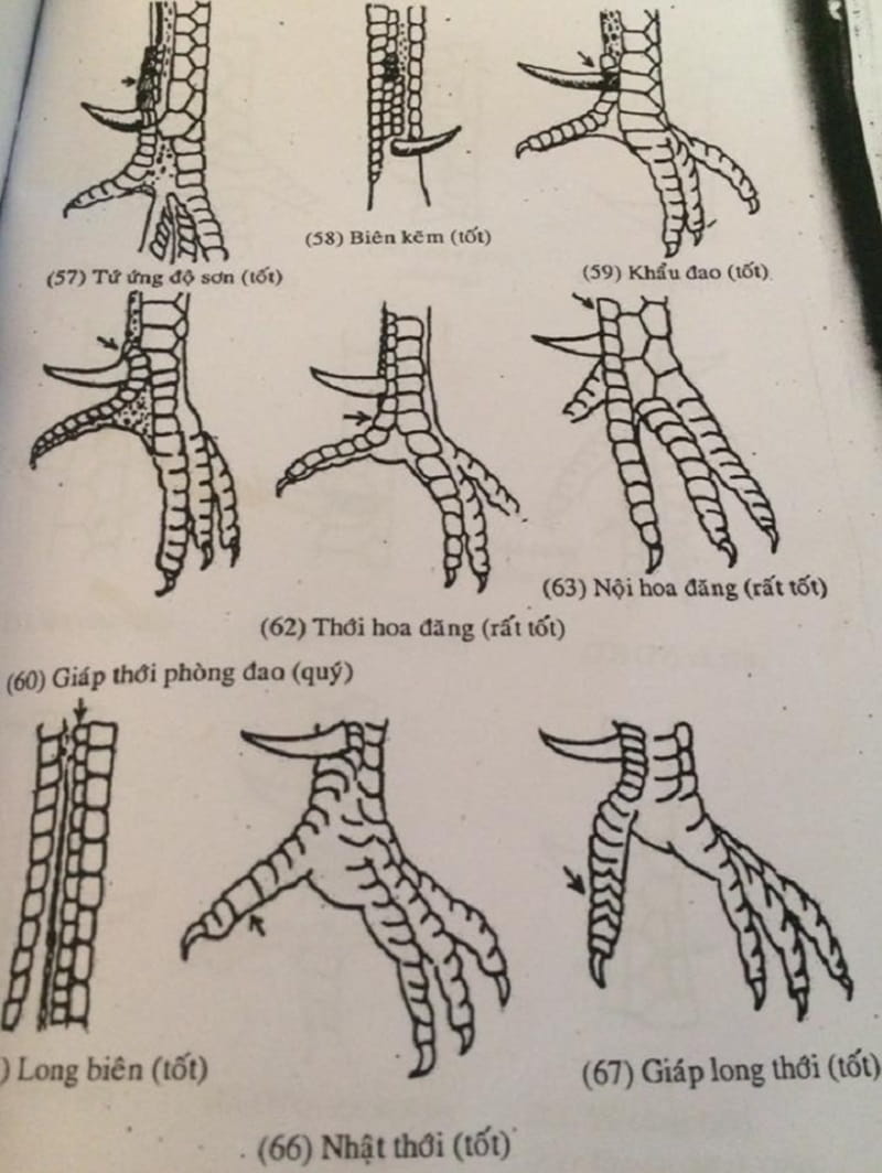 Kinh kê thể hiện đầy đủ các nội dung về tướng mạo nhận định đá hay hay không